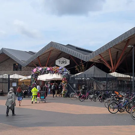 公寓 Kalamaja With Old Town View! 塔林