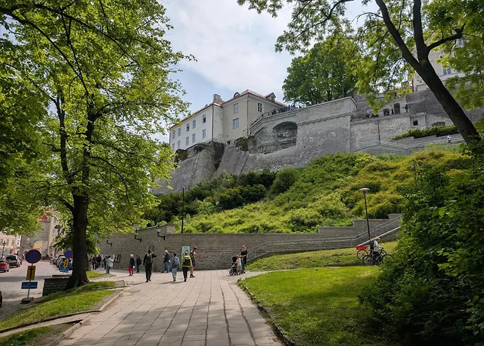 Kalamaja With Old Town View! Апартаменты Таллин